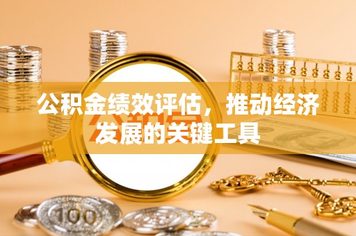 禄劝公积金绩效评估，推动经济发展的关键工具