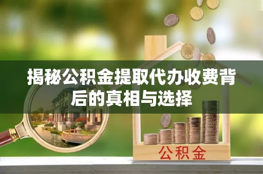 禄劝揭秘公积金提取代办收费背后的真相与选择