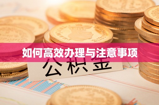 禄劝如何高效办理与注意事项