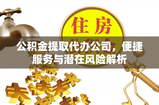 禄劝公积金提取代办公司，便捷服务与潜在风险解析