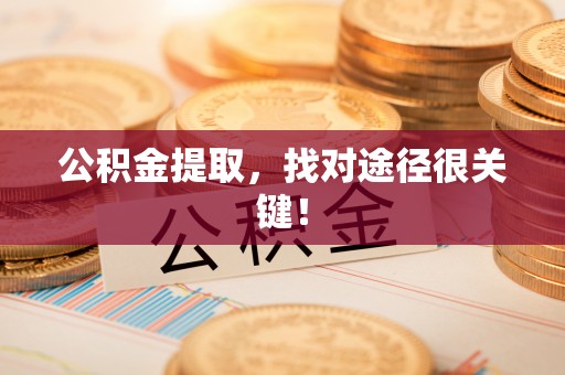 禄劝公积金提取，找对途径很关键！